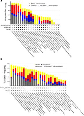 Nuclear size rectification: A potential new therapeutic approach to reduce metastasis in cancer